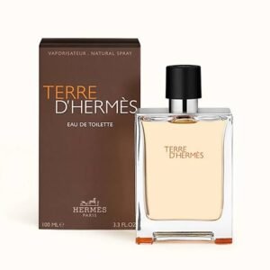 Hermes Terre D Hermes EDT 100ML